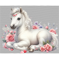 Valentine's Day-QRJ  5850